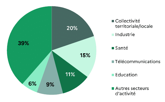 Diagramme des secteurs d'activités touchés par les rançongiciels en 2020 en France